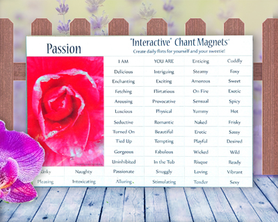 Passion Affirmation Chant Magnets by Creative Mind Publications. Dirty word fridge poetry kit for lovers, couples and very good friends. Passion Affirmation comes with a dew covered rose magnet, and I AM and YOU ARE and 54 flirty, suggestive words.